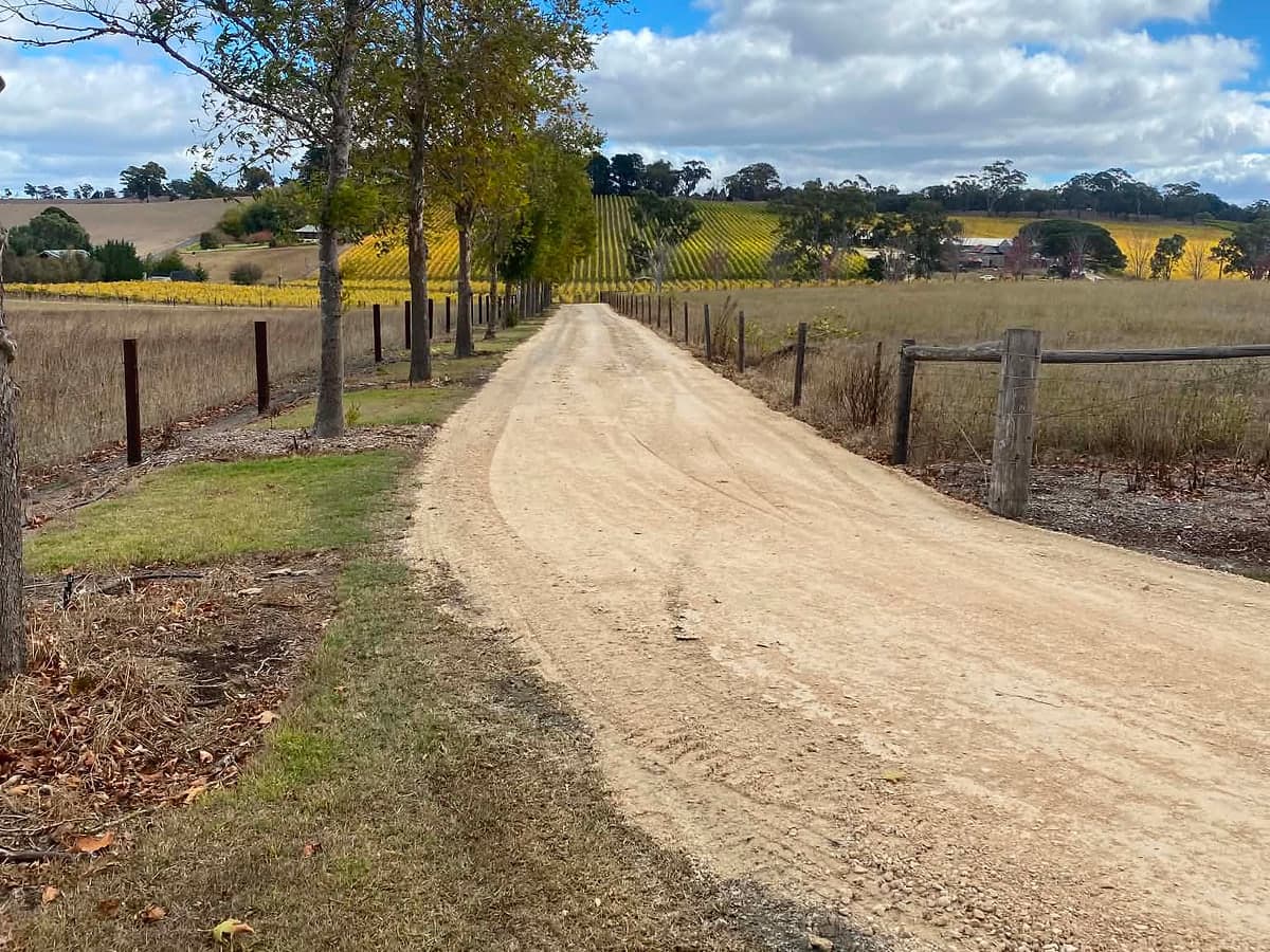 New gravel driveway running between a tree line and a paddock fence