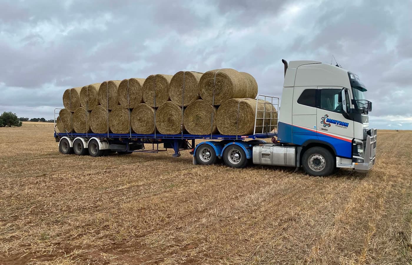Loaded semi tipper carting hay